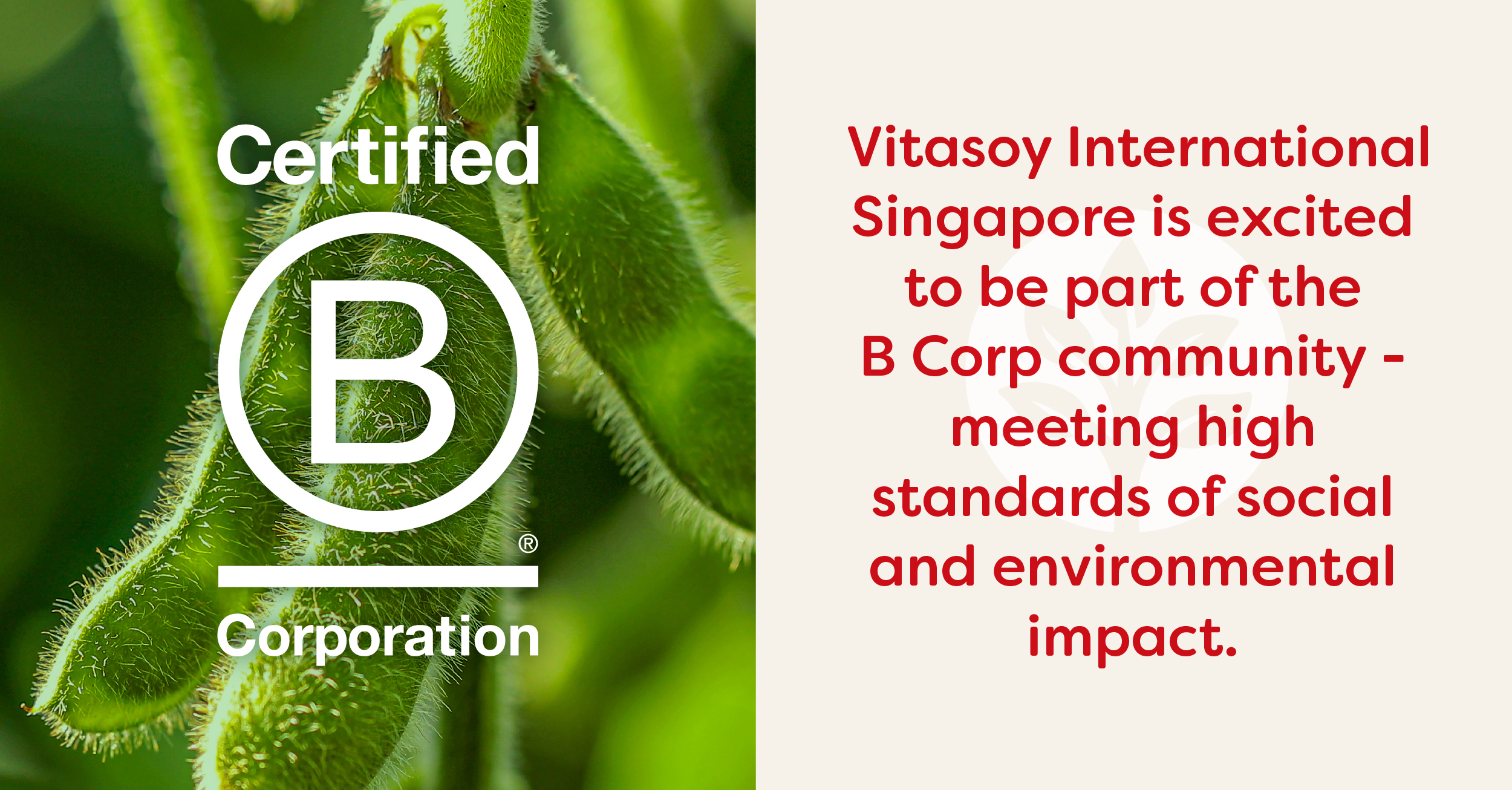 B Corp™ Has Benefits for All